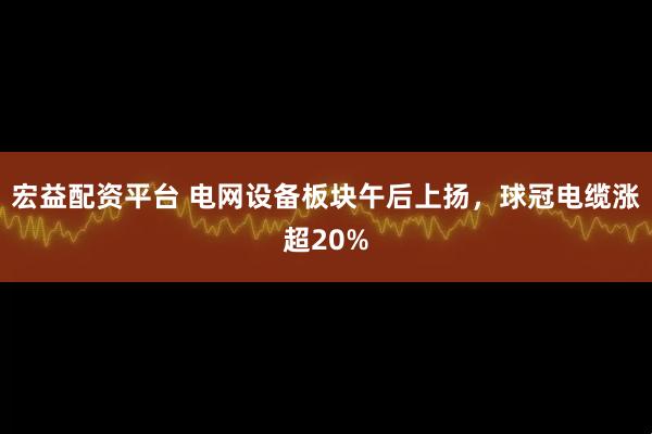 宏益配资平台 电网设备板块午后上扬，球冠电缆涨超20%
